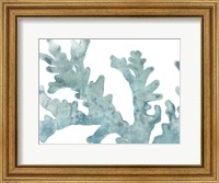 Framed Blue Macro Coral II
