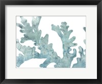 Framed Blue Macro Coral II