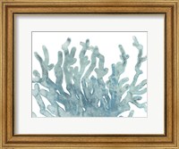 Framed Blue Macro Coral III