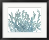 Blue Macro Coral III Framed Print