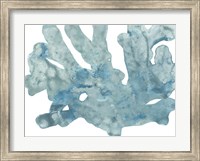 Framed Blue Macro Coral IV