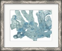 Framed Blue Macro Coral IV