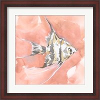 Framed Blush and Ochre Angel Fish I