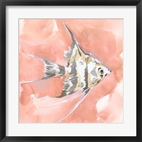 Framed Blush and Ochre Angel Fish I