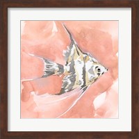 Framed Blush and Ochre Angel Fish I