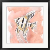 Framed Blush and Ochre Angel Fish II