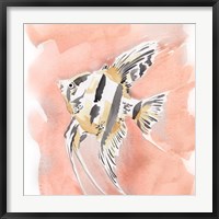 Framed Blush and Ochre Angel Fish II