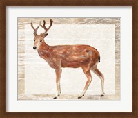 Framed Rustic Barnwood Animals IV