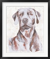 Framed Sitting Dog I