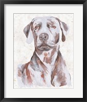 Sitting Dog I Framed Print