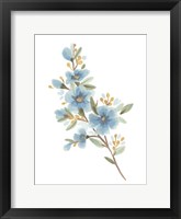 Wildflower Sprig I Framed Print