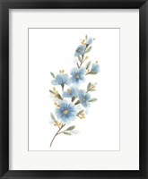 Framed Wildflower Sprig II