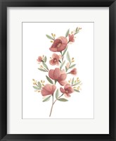 Framed Wildflower Sprig III