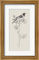 Framed Nature with Bird I