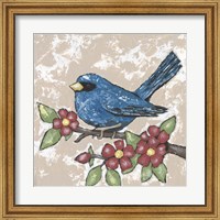 Framed Sweet Bird III