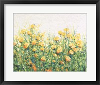 Garden in Bloom III Framed Print