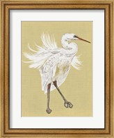 Framed Heron Plumage V