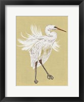 Framed Heron Plumage V