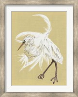 Framed Heron Plumage VI
