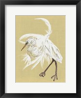 Heron Plumage VI Framed Print