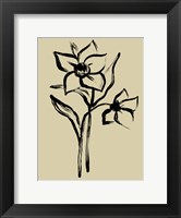 Framed Inkwash Floral II