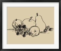 Framed Graphite Fruit I