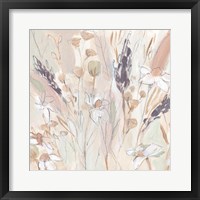 Lavender Flower Field II Framed Print