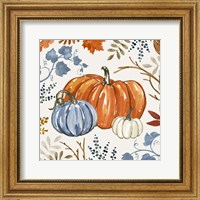 Framed Autumn Pumpkin II