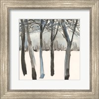 Framed Winter Treeline I