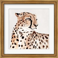 Framed Saharan Cheetah I