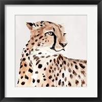 Saharan Cheetah I Framed Print