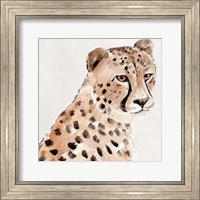 Framed Saharan Cheetah II