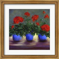 Framed Geraniums V