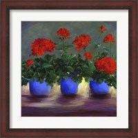 Framed Geraniums V