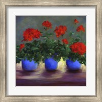 Framed Geraniums V