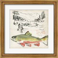 Framed Trout Journal II