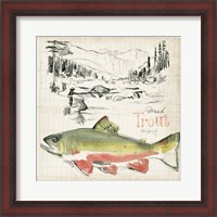 Framed Trout Journal II