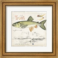 Framed Trout Journal III