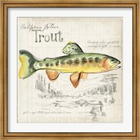 Framed Trout Journal IV