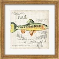 Framed Trout Journal IV