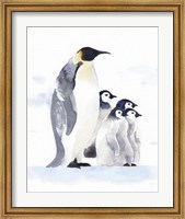 Framed Emperor Penguins I