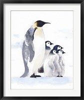 Framed Emperor Penguins I