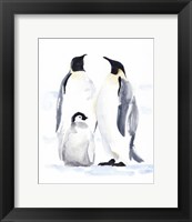Framed Emperor Penguins II