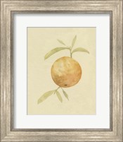 Framed Dappled Oranges III