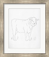 Framed Limousin Cattle I