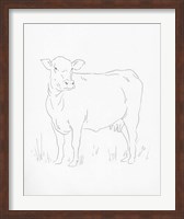 Framed Limousin Cattle II