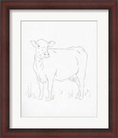 Framed Limousin Cattle II