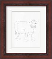 Framed Limousin Cattle III