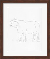 Framed Limousin Cattle IV