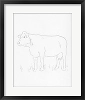 Framed Limousin Cattle IV